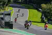cadwell-no-limits-trackday;cadwell-park;cadwell-park-photographs;cadwell-trackday-photographs;enduro-digital-images;event-digital-images;eventdigitalimages;no-limits-trackdays;peter-wileman-photography;racing-digital-images;trackday-digital-images;trackday-photos